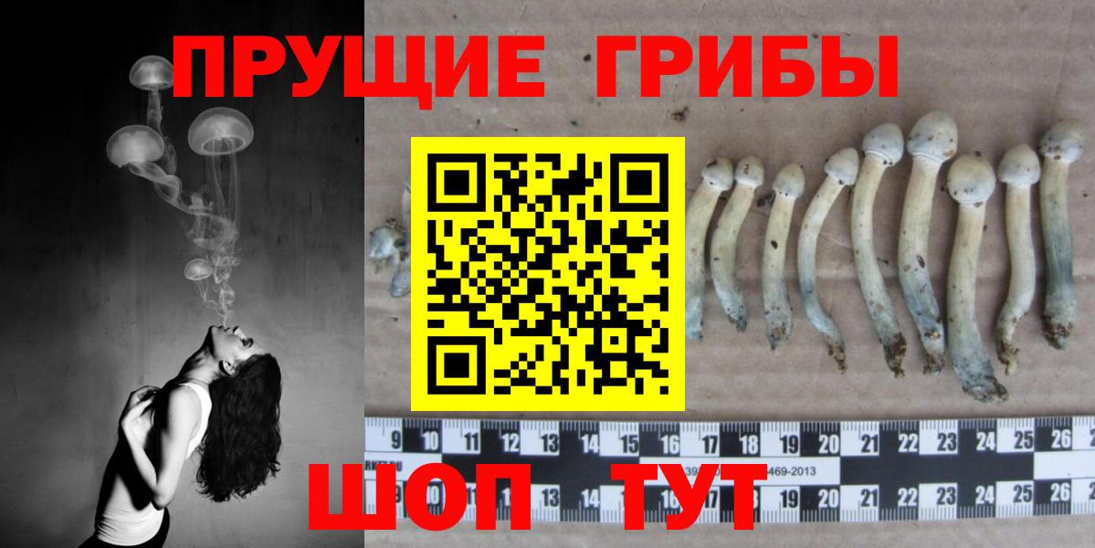 Псилоцибиновые грибы MAGIC MUSHROOMS  Галлюциногенные грибы Psilocybe  Дзержинск  Вход с VPN 